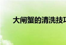 大闸蟹的清洗技巧（如何清洗大闸蟹）