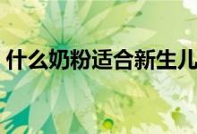 什么奶粉适合新生儿（新生儿吃什么奶粉好）
