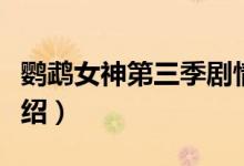 鹦鹉女神第三季剧情（鹦鹉女神第三季剧情介绍）