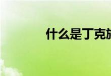 什么是丁克族（关于丁克族）