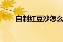 自制红豆沙怎么保存（自制红豆沙）