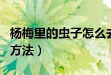杨梅里的虫子怎么去除（去除杨梅里的虫子的方法）