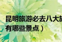 昆明旅游必去八大旅游景点推荐（去昆明旅游有哪些景点）