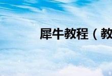犀牛教程（教你快速入门犀牛）