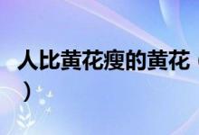人比黄花瘦的黄花（人比黄花瘦的黄花的意思）