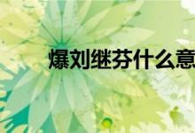 爆刘继芬什么意思（何谓爆刘继芬）