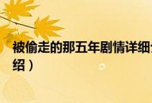 被偷走的那五年剧情详细介绍（被偷走的那五年详细剧情介绍）