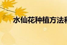 水仙花种植方法和时间（水仙花种植）