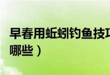 早春用蚯蚓钓鱼技巧（早春用蚯蚓钓鱼技巧有哪些）