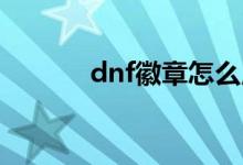 dnf徽章怎么用（怎么镶嵌呢）