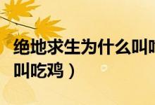 绝地求生为什么叫吃鸡英文（绝地求生为什么叫吃鸡）