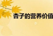 杏子的营养价值（这些你都了解吗）