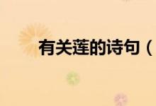 有关莲的诗句（给大家分享这几句）