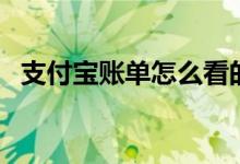 支付宝账单怎么看的（支付宝账单怎么看）