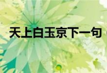 天上白玉京下一句（天上白玉京诗句赏析）