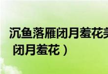 沉鱼落雁闭月羞花美得无处藏视频（沉鱼落雁 闭月羞花）