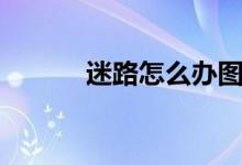 迷路怎么办图片（迷路怎么办）