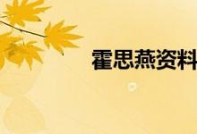 霍思燕资料（霍思燕介绍）