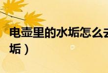 电壶里的水垢怎么去除（怎样清除电水壶的水垢）