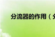 分流器的作用（分流器的作用是什么）