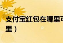 支付宝红包在哪里可以使用（支付宝红包在哪里）
