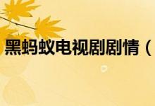 黑蚂蚁电视剧剧情（黑蚂蚁电视剧剧情介绍）
