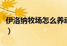 伊洛纳牧场怎么养动物（伊洛纳牧场如何养殖）