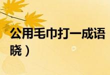 公用毛巾打一成语（公用毛巾打一成语答案揭晓）
