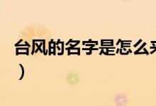 台风的名字是怎么来的（台风名字的命名介绍）