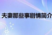 夫妻那些事剧情简介（夫妻那些事剧情介绍）