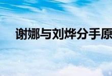 谢娜与刘烨分手原因（张杰听了都哭了）