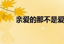 亲爱的那不是爱情歌词（歌手简介）