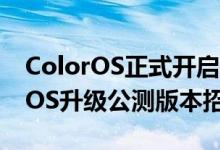 ColorOS正式开启基于Android 11的ColorOS升级公测版本招募