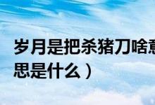 岁月是把杀猪刀啥意思（岁月是把杀猪刀的意思是什么）