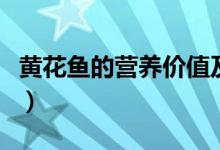 黄花鱼的营养价值及功效（黄花鱼的营养价值）