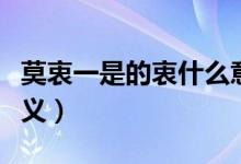 莫衷一是的衷什么意思（莫衷一是的衷有何含义）