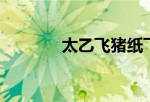 太乙飞猪纸飞机（太乙飞猪）
