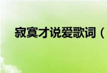 寂寞才说爱歌词（寂寞才说爱歌词介绍）