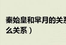 秦始皇和芈月的关系是什么（芈月跟秦始皇什么关系）