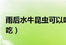 雨后水牛昆虫可以吃吗（雨后水牛昆虫能不能吃）