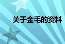 关于金毛的资料（金毛寻回犬的资料）