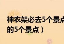 神农架必去5个景点（去神农架旅游不可错过的5个景点）