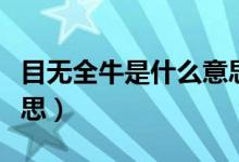 目无全牛是什么意思（成语目无全牛是什么意思）