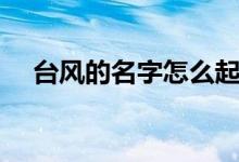 台风的名字怎么起的（台风的命名规则）