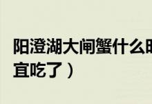 阳澄湖大闸蟹什么时候最好吃（什么时候就不宜吃了）