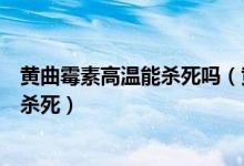 黄曲霉素高温能杀死吗（黄曲霉素在多少度高温和低温下能杀死）