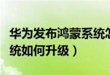 华为发布鸿蒙系统怎么升级（华为发布鸿蒙系统如何升级）