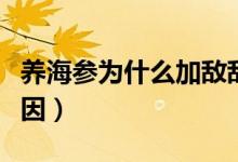 养海参为什么加敌敌畏（养海参加敌敌畏的原因）