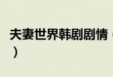 夫妻世界韩剧剧情（这部剧讲述的是什么故事）