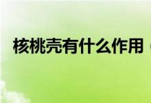 核桃壳有什么作用（核桃壳的作用有哪些）
